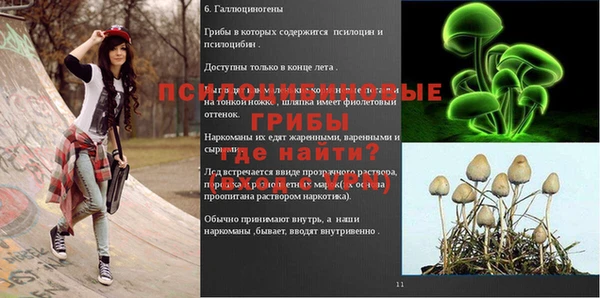 a pvp Михайловка